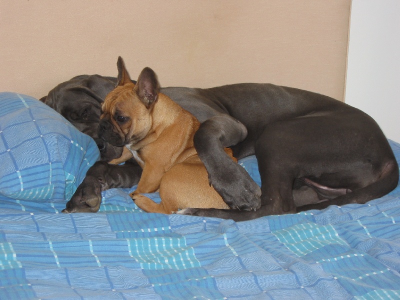 Cheyenne et Chanel